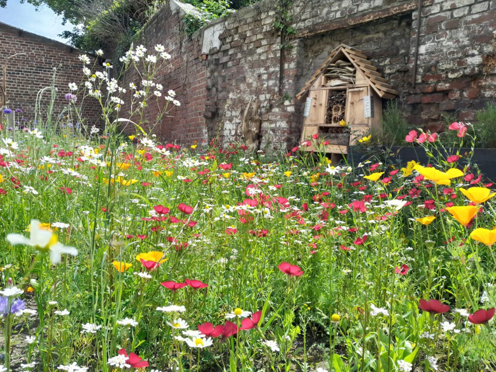 A new garden in LME