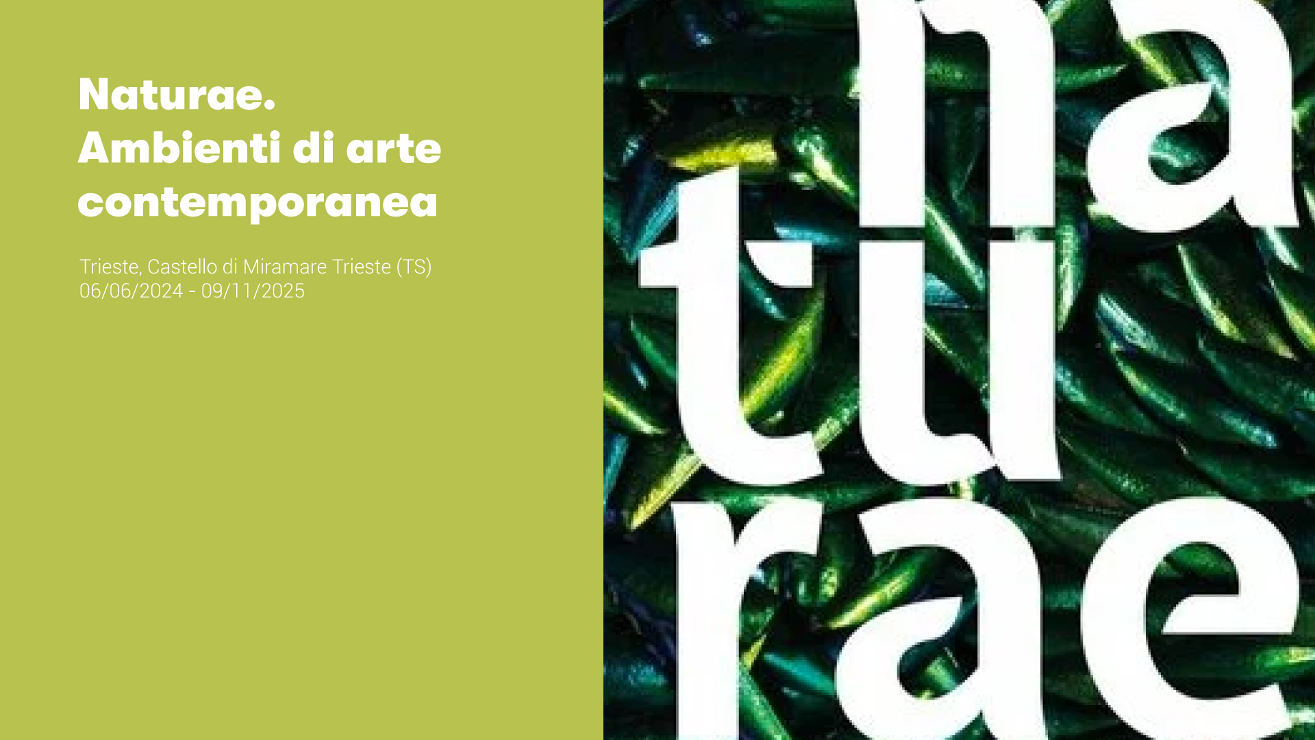 Naturae. Ambienti di arte contemporanea