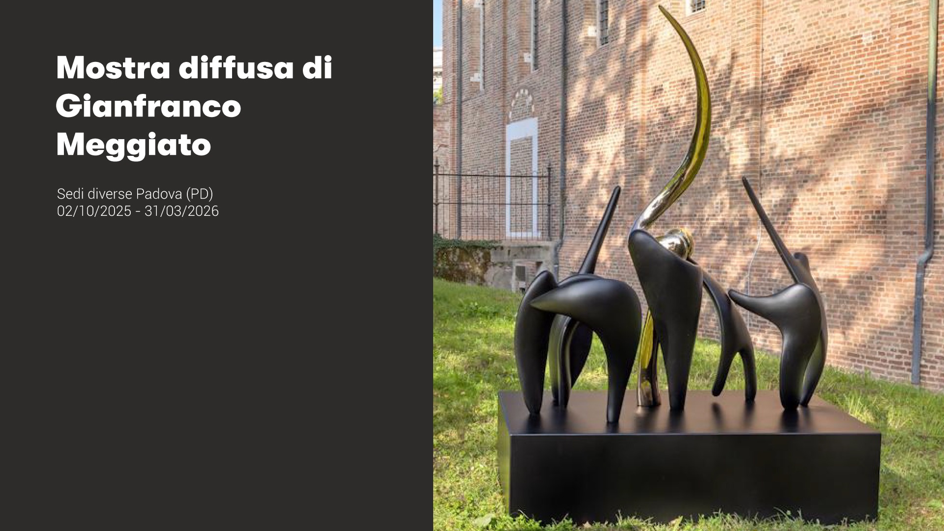 Mostra diffusa di Gianfranco Meggiato